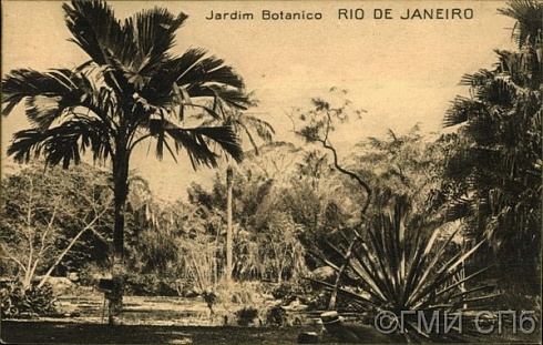 Jardin Botanico. Rio de Janeiro. (Бразилия. Рио-де-Жанейро. Ботанический сад).   I - я четверть. ХХ века