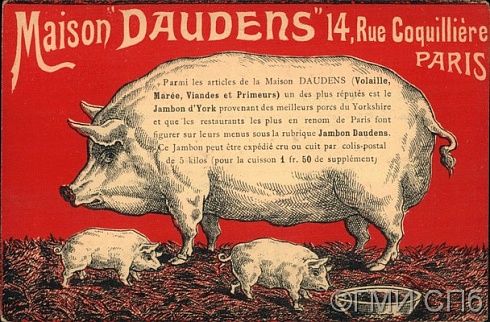 Maison "DAUDENS" 14, Rue Coguilliere PARIS. Конец XIX – начало XX века