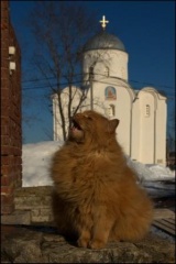 Staraya (Old) Ladoga. Ancient capital of Northern Rus